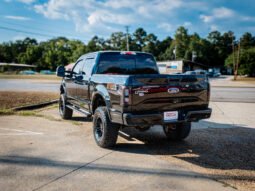 
										2017 Ford F-150 full									